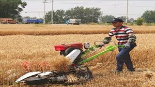 Wheat Cutting New Machine 2024 🤣 || Reaper || Tractor ||