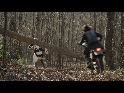 Daryl bike chase scene | The Walking Dead 11x21 HD scene