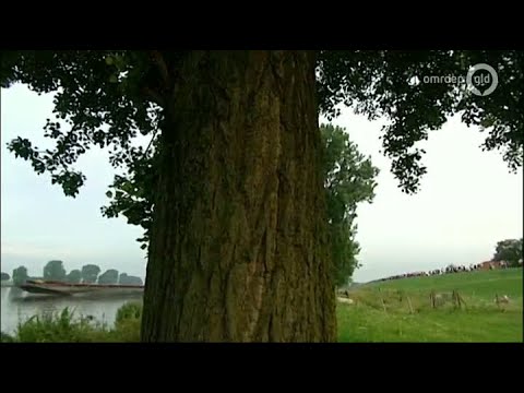 4Daagse Journaal 20 juli 2014 - Terugblik 4Daagse Journaal