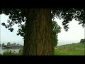 4Daagse Journaal 20 juli 2014 - Terugblik 4Daagse Journaal