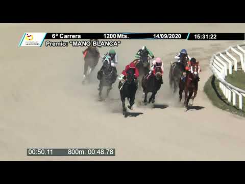 LP 200914 c06 - MALI BLUE - PREFERENCIAL "MANO BLANCA"