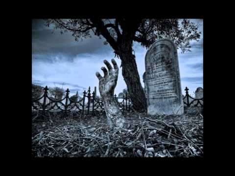 Project Black Pantera - Ressureição