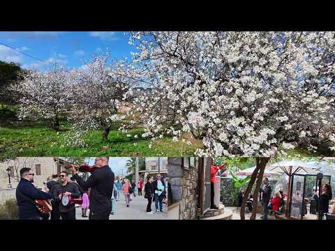 Datça Günlüğü - 12 Şubat - Badem Çiçeği Festivali  İlk Gün - Eski Datça İzlenimleri