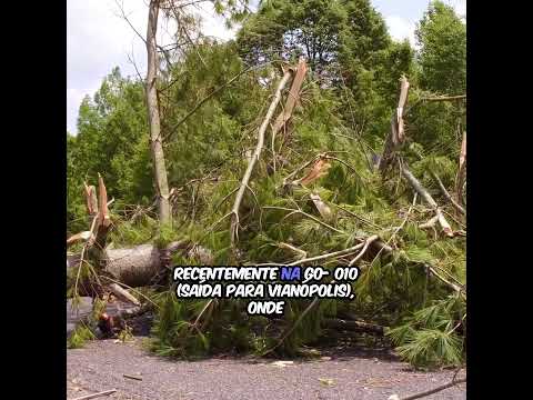 Requerimento à Goinfra 10/02/2026