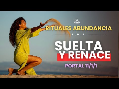 11.11 Portal Ritual | Visualization to activate your new version in 2026