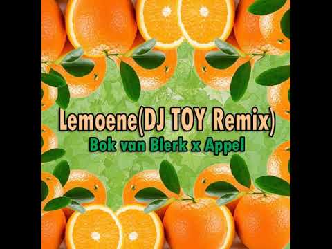Bok van Blerk x Appel_Lemoene(DJ TOY Remix)2022
