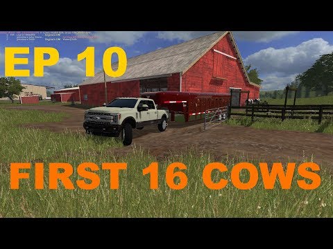 OUR FIRST 16 COWS EP 10 LONE OAK FARM FS17