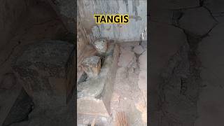 Download lagu TANGIS #sholawatanak #malamjumat #pujianjawa #sabenmalamjumat mp3