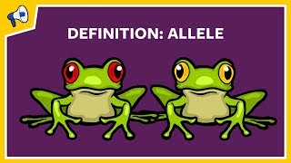 What is an Allele? Quick Definition
