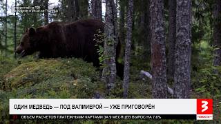 Video thumbnail image