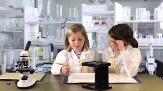 The Case of the Missing van Gogh is out!