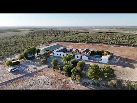 Beautiful country Hacienda and Stables, Moron de la Frontera, Sevilla. S185