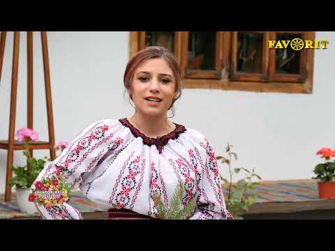 Daria Florinela Ilisescu   cover Viorica Macovei