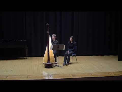 C Stephenson - Harp of Dagda