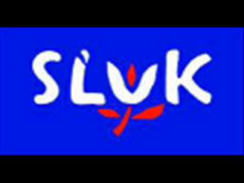 SĽUK- Nepovedz ty dievča materi mix.wmv