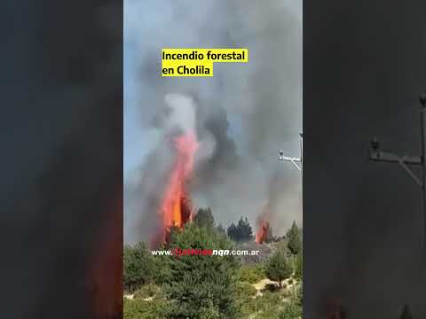 Incendio en Cholila | Chubut