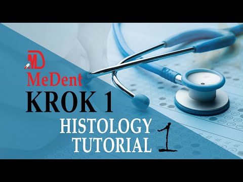 Krok 1 Base | Histology | Tutorial 1