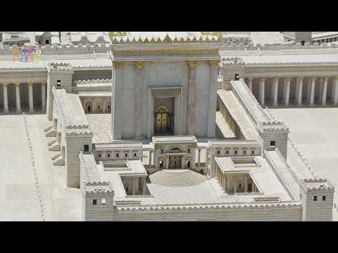 Mon Rabbi 156 - La pluie retardée | Si'ha