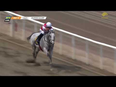 Duca di Como vinner Pramms 2023