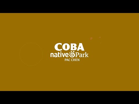 Native Park & Archaeological Site Full-Day Tour from Alltournative - Coba, Mexico (Up to 26% Off) - Second Medium