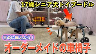 【シニア犬との暮らし】歩けなくなる前に車椅子を作ることにしました『ロゼットプラス』