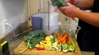 Homemade V8 Juice Using Fresh Ingredients From The Garden
