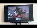 Sesame Street The Kids Talk About Their CATS