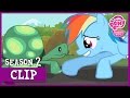 Tank Saves Rainbow Dash May The Best Pet Win MLP FiM HD