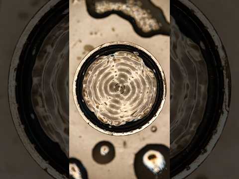 Solfeggio Frequency 174 Hertz〰️Cymatics #solfeggio #solfeggiofrequencies #cymatics