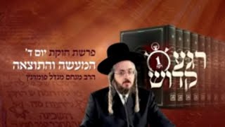 הרב מנחם מנדל פומרנץ | רגע קדוש מהאור החיים | פרשת חוקת יום ד' • המעשה והתוצאה •