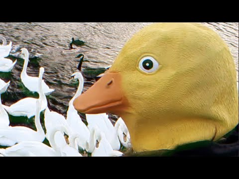 TERROR DUCK | Short Horror Film | Clem’s Horror Fest 2022