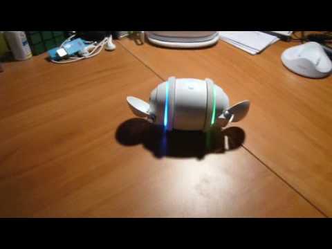 Sony Rolly - Sexy Back