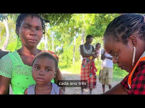 Mozambique: The Big Catch Up