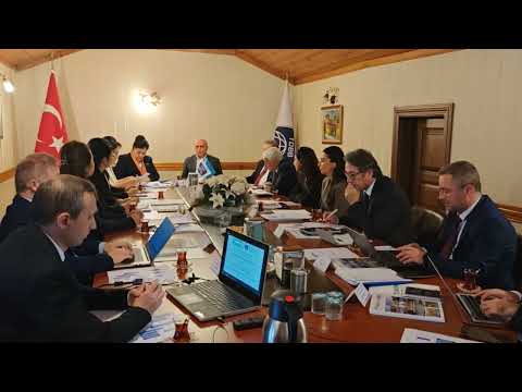 "Yerel Yönetimler ve Sınır Ötesi İşbirliği” Çalıştayı Açılış Konuşması