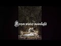 The Cold Delain Lyrics