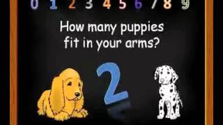 Why Do We Have To Learn About Numbers  - Preview