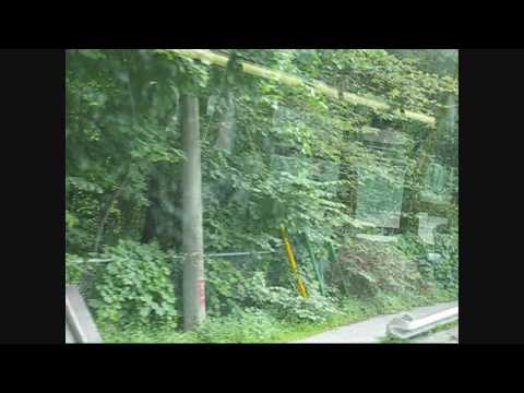 Request'd: 88A South Leaside [HD]