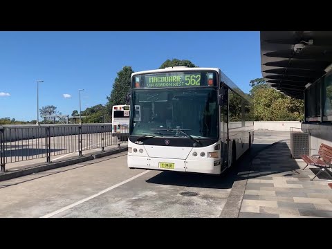 2190ST Transport Vlog 436: [Transdev NSW] Nice ZF Ecomat on Scania K230UB Volgren (9968 562)
