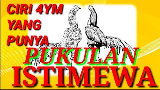 Download lagu Pukulan Saraf | 4 C1R1 4Y4M Y4N9 PUNY4 PUKUL4N lSTlMEW4 mp3 Download lagu Pukulan Saraf | 4 C1R1 4Y4M Y4N9 PUNY4 PUKUL4N lSTlMEW4 mp3