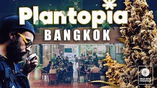 20 Dispensaries in one Bangkok shopping center! by HighRise TV