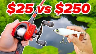 $25 vs $250 Budget Fishing Challenge!