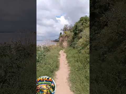 bajando a la costa de capitán Bermúdez santa fe #pesca #capitanbermudez