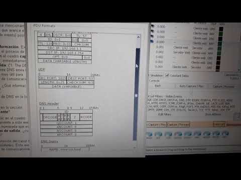 packet tracer 3.2.4.6