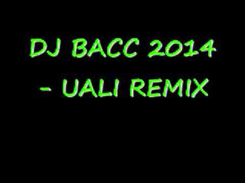 DJ BACC 2014 - UALI REMIX
