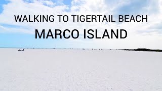 Walk to Tigertail Beach (the normal way WITHOUT lagoon crossing!) Marco Island, Southwest Florida