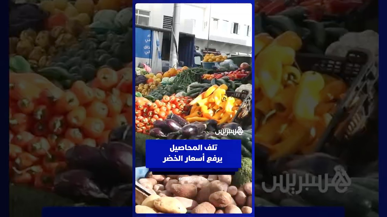 تلف المحاصيل جراء الفيضانات يرفع أسعار الخضر في الأسواق thumbnail