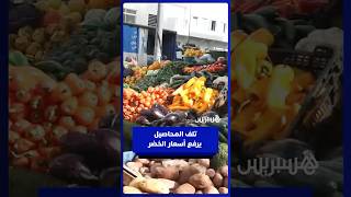 تلف المحاصيل جراء الفيضانات يرفع أسعار الخضر في الأسواق thumbnail