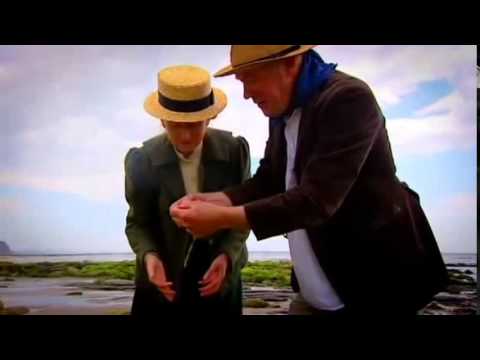 Foraging for Laver Seaweed - Porphyra umbilicalis