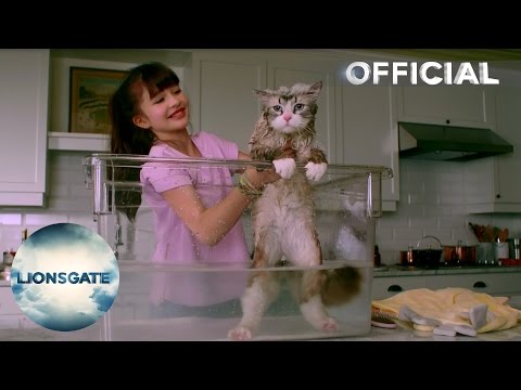 Trailer Alert: Nine Lives | Lionsgate