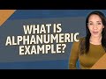 What is alphanumeric example?